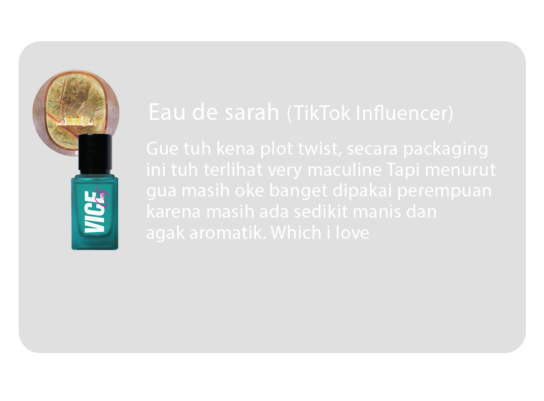 Review Vice city web